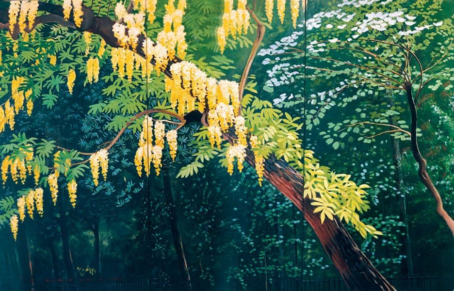 Pakistani art archive overview